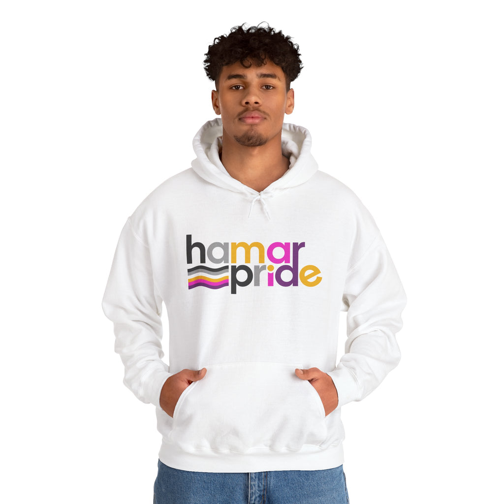 Hamar Pride Hoodie — Universal Asexual Pride