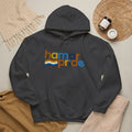 Hamar Pride Hoodie — Aroace Pride