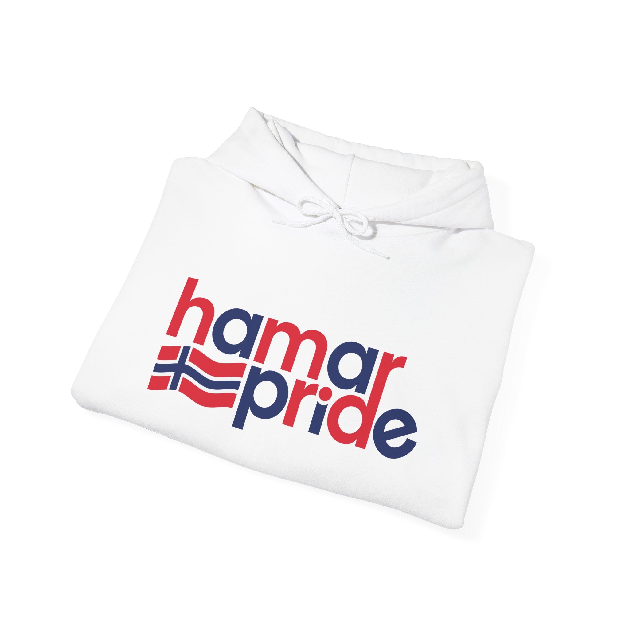 Hamar Pride Hoodie — Norway Pride