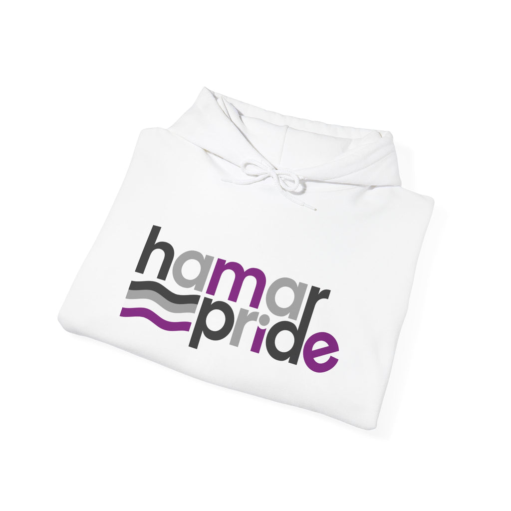 Hamar Pride Hoodie — Asexual Pride