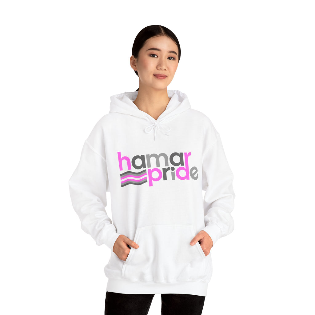 Hamar Pride Hoodie — Demigirl Pride
