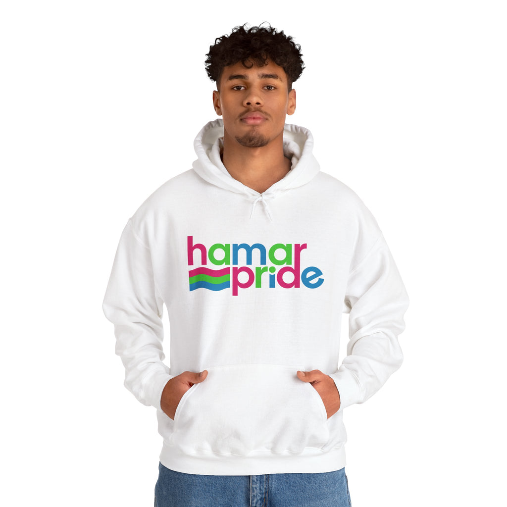 Hamar Pride Hoodie — Polysexual Pride