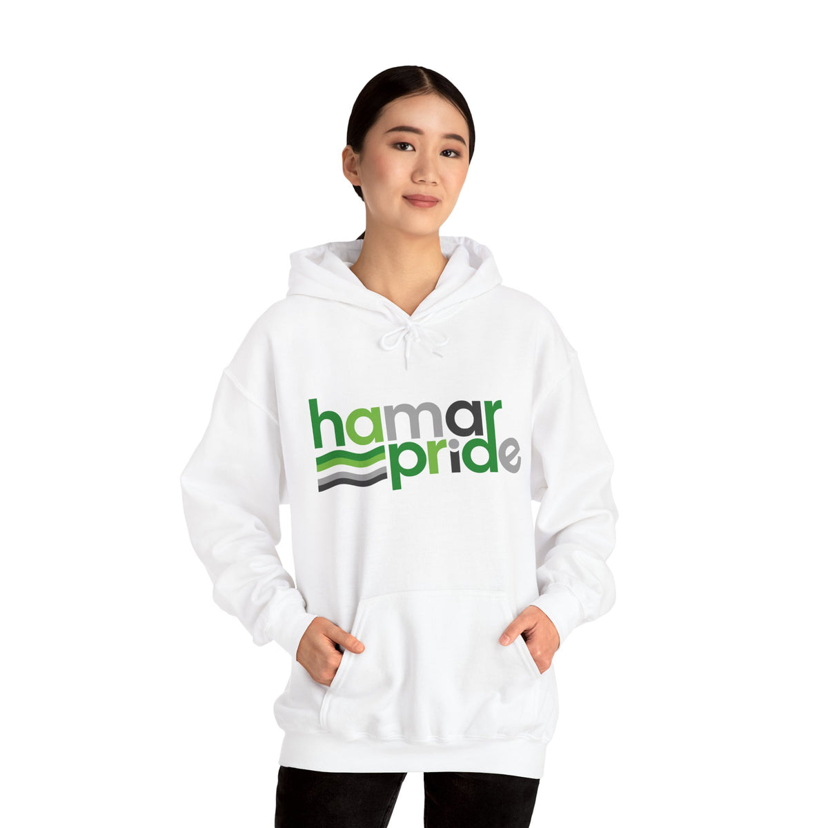 Hamar Pride Hoodie — Aromantic Pride