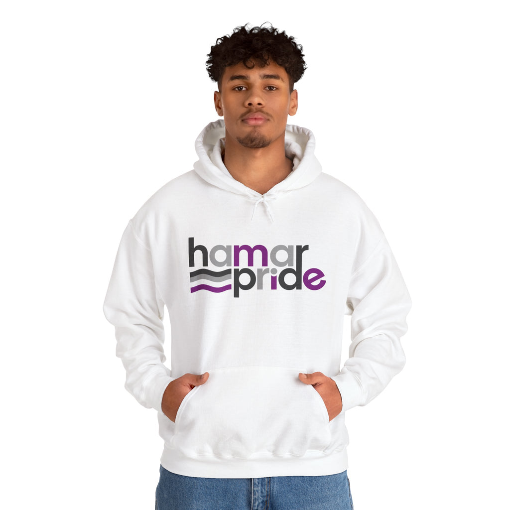 Hamar Pride Hoodie — Asexual Pride