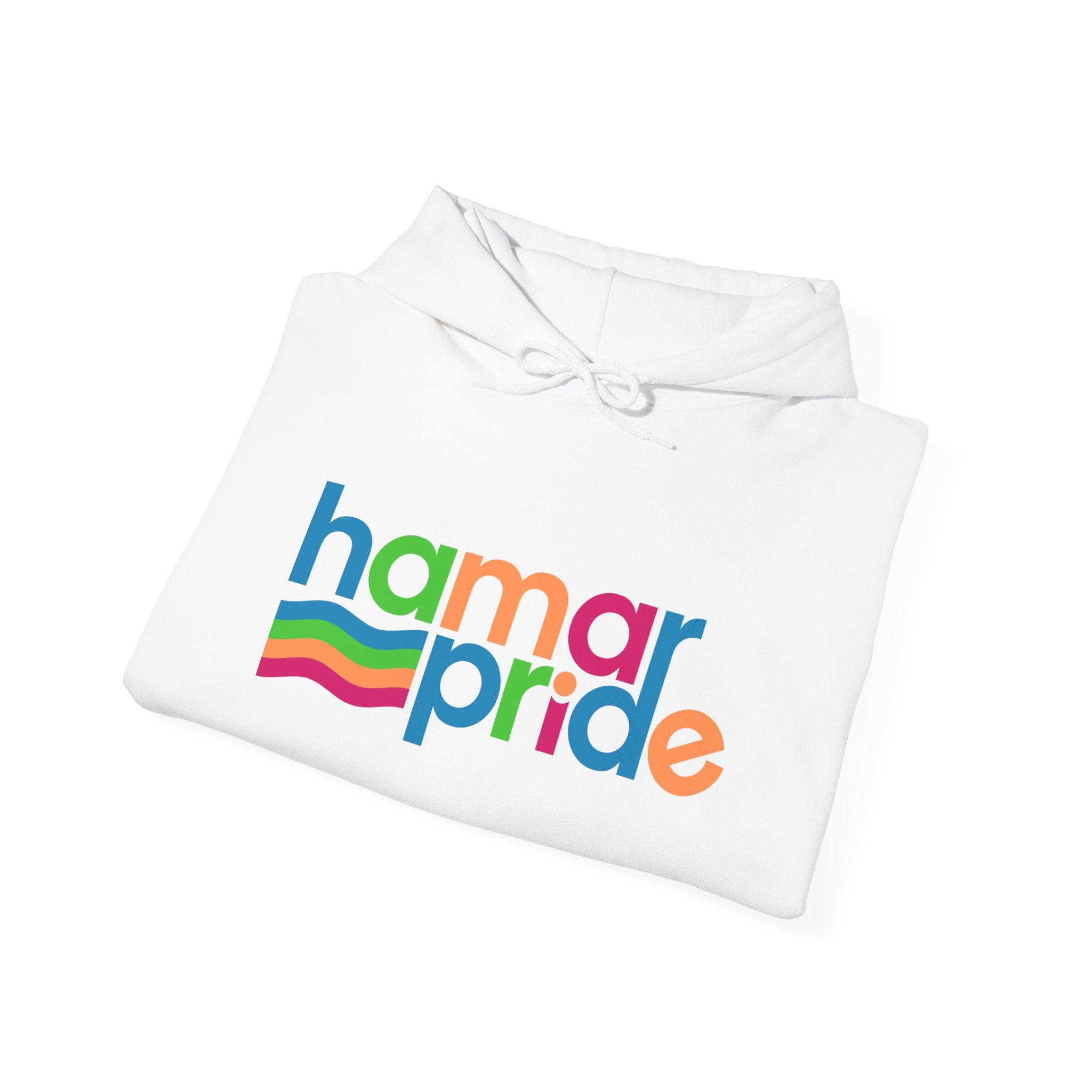Copy of Hamar Pride Hoodie — Panromantic Pride