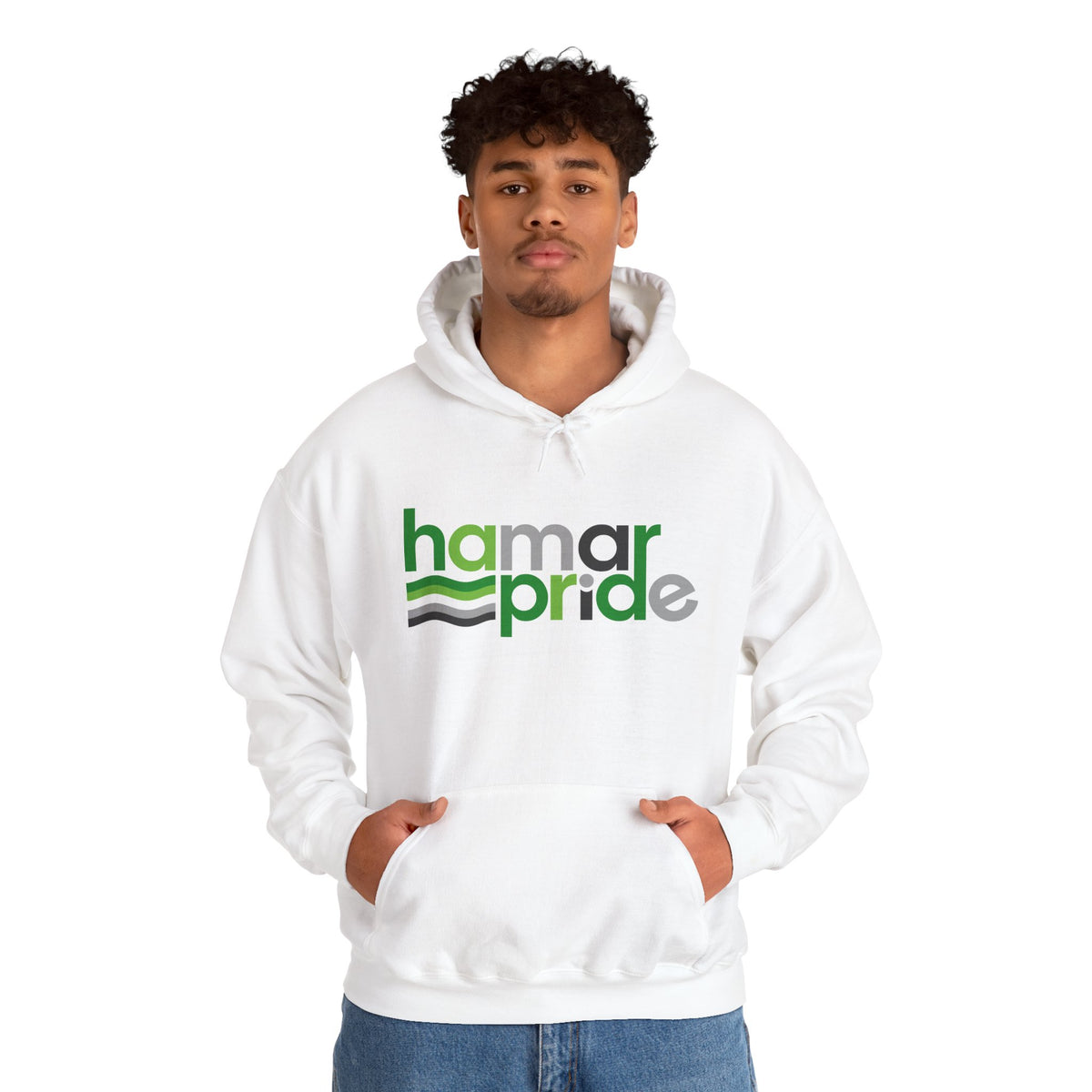 Hamar Pride Hoodie — Aromantic Pride