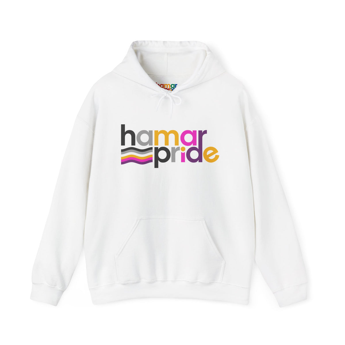 Hamar Pride Hoodie — Universal Asexual Pride