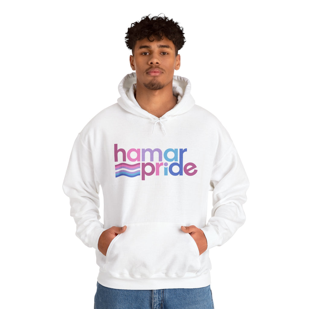 Copy of Hamar Pride Hoodie — Bigender Pride