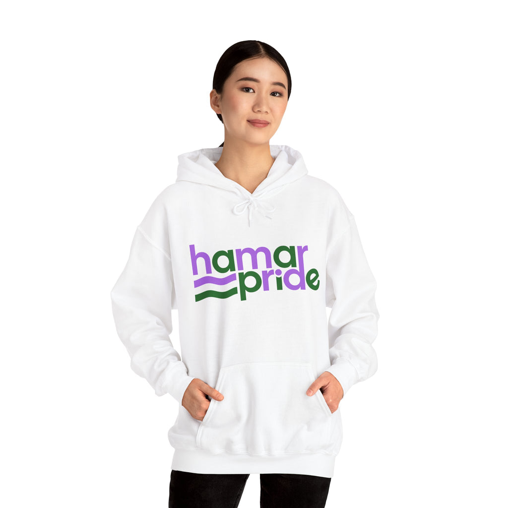 Copy of Hamar Pride Hoodie — Genderqueer Pride