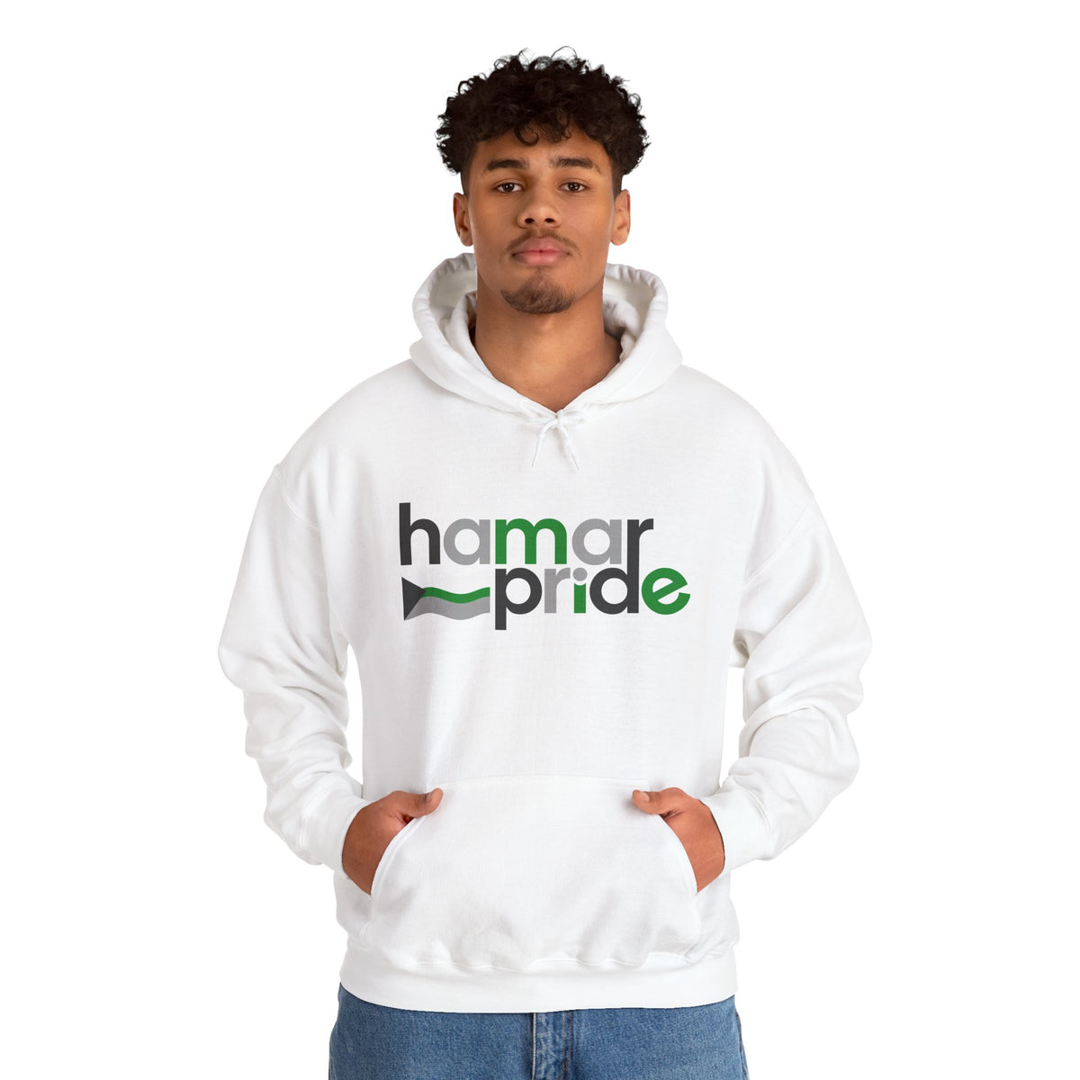 Hamar Pride Hoodie — Demiromantic Pride