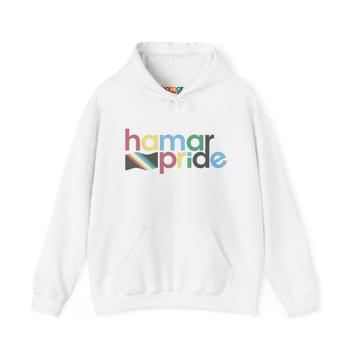 Copy of Hamar Pride Hoodie — Disabled Pride