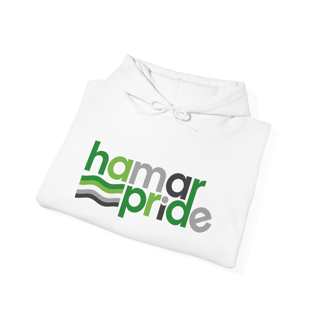 Hamar Pride Hoodie — Aromantic Pride