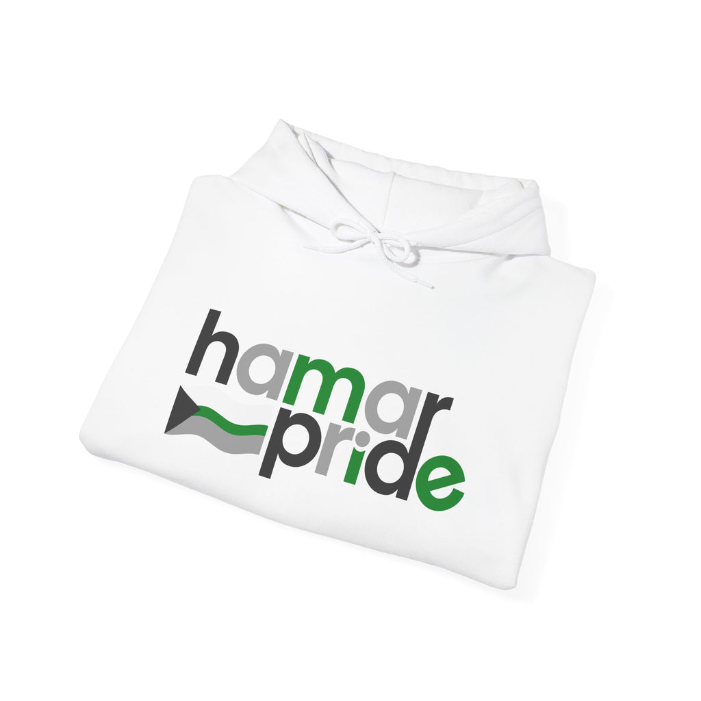 Hamar Pride Hoodie — Demiromantic Pride