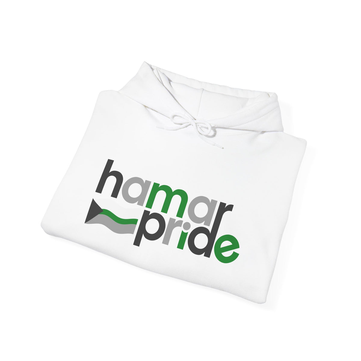 Hamar Pride Hoodie — Demiromantic Pride