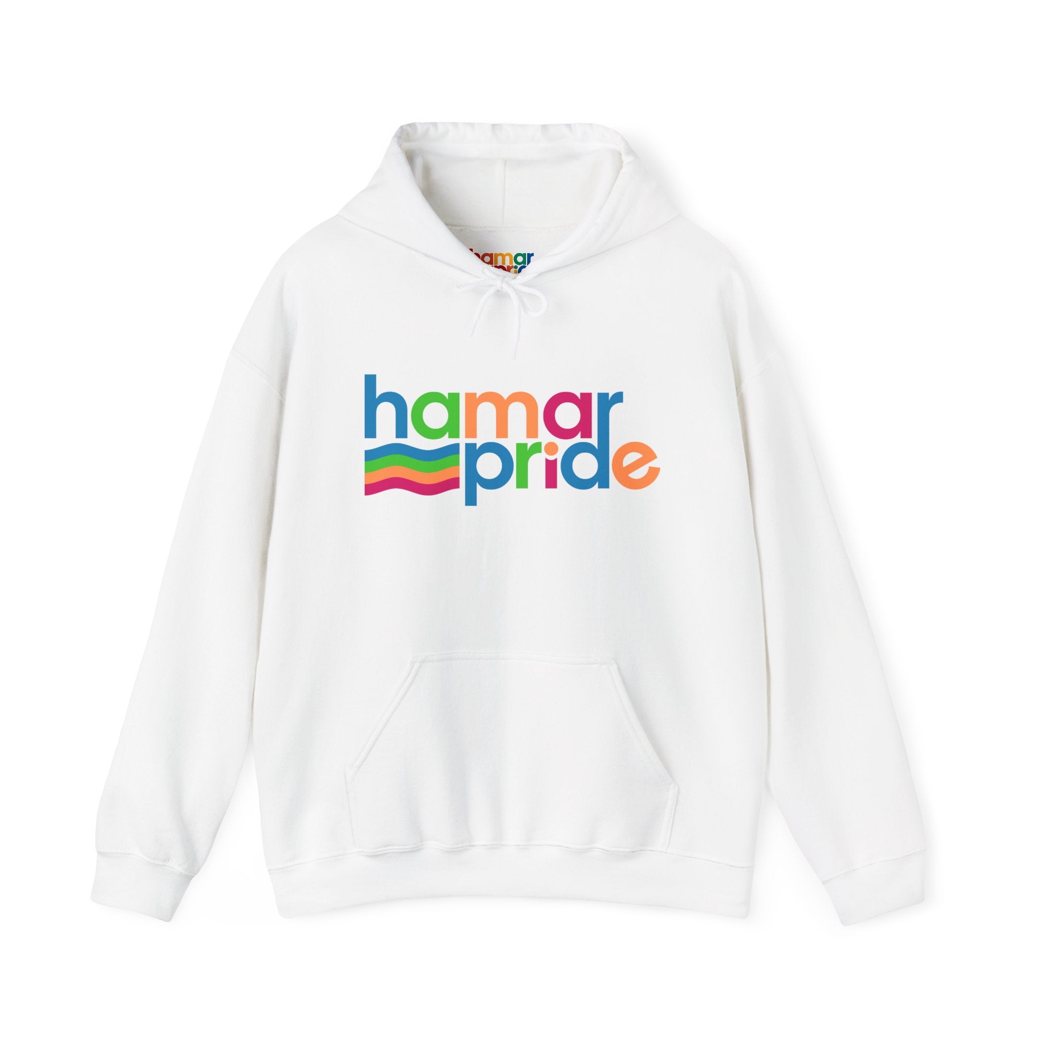 Copy of Hamar Pride Hoodie — Panromantic Pride