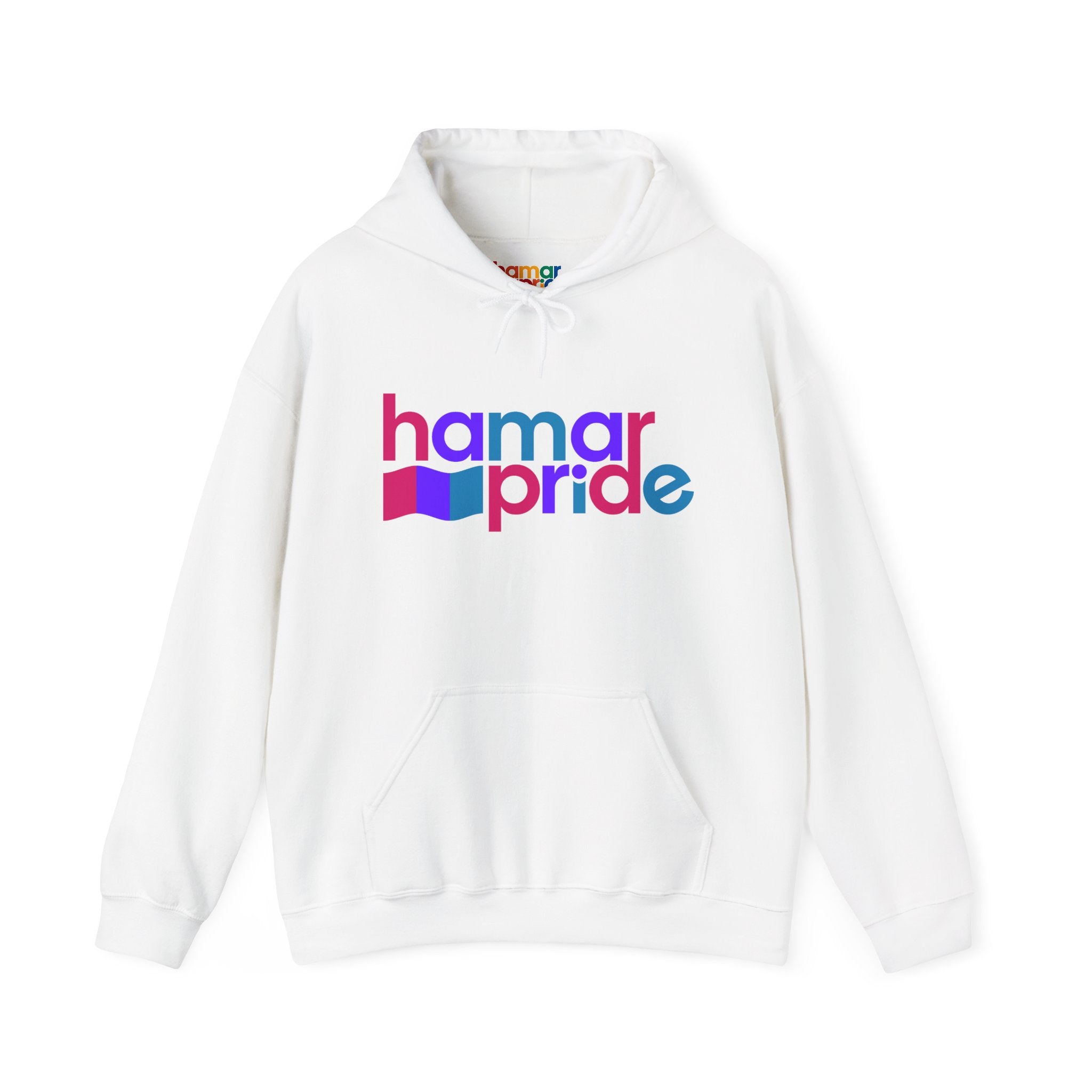 Copy of Hamar Pride Hoodie — Androgyne Pride